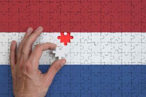 Todo sobre el dominio .NL